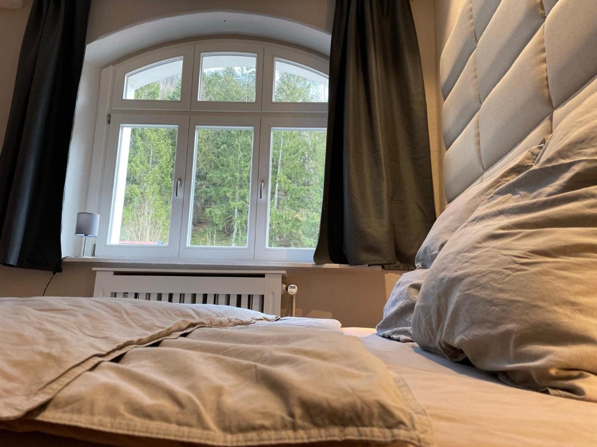 Bergrauschen - Waldloft - Preise Inklusive Waesche Apartment Goslar Bagian luar foto
