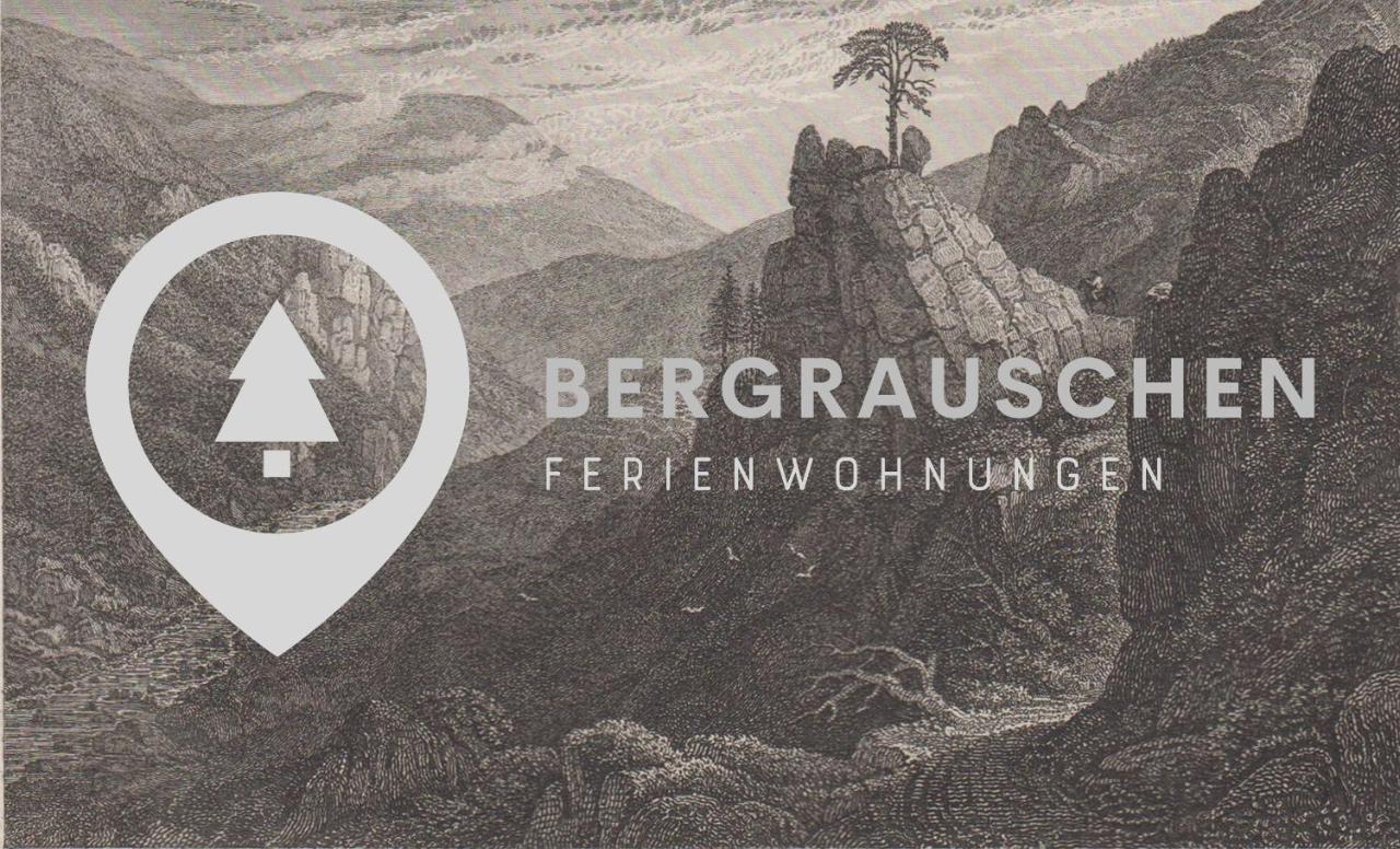Bergrauschen - Waldloft - Preise Inklusive Waesche Apartment Goslar Bagian luar foto