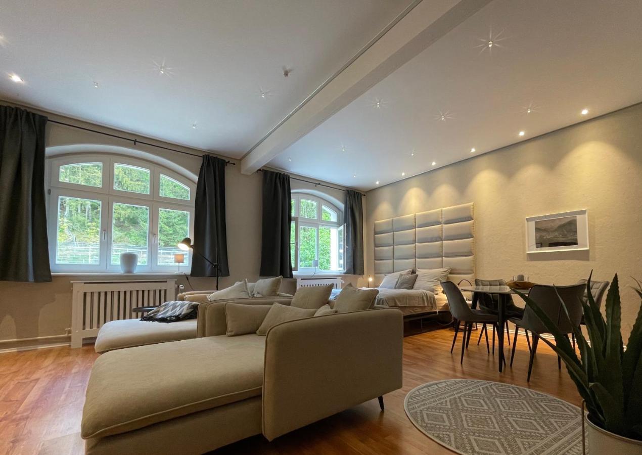 Bergrauschen - Waldloft - Preise Inklusive Waesche Apartment Goslar Bagian luar foto